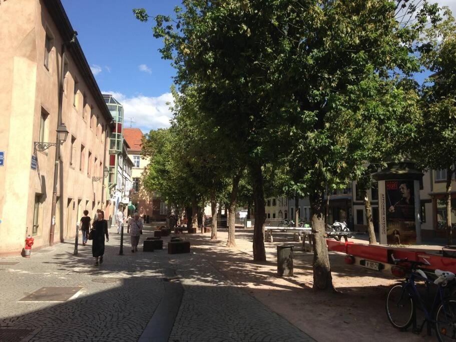 Petite Austerlitz Appartement Straatsburg Buitenkant foto